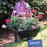 Scarecrow entry: Scarecrow Joe