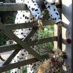 Scarecrow entry: Polka and Friend