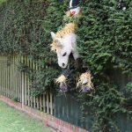 Scarecrow entry: Hever Horse & Rider