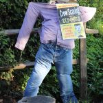 Scarecrow entry: Jeff