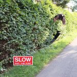 Scarecrow entry: Slow Down!!!