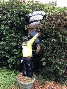 Scarecrow entry: Armless Robber