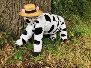 Scarecrow entry: Cow Crow