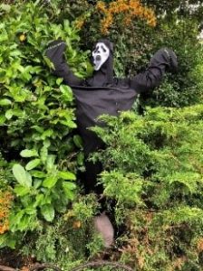 Scarecrow entry: Ghoul Crow