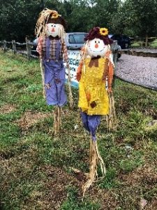 Scarecrow entry: Mr & Mrs Crow
