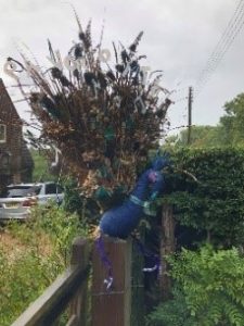 Scarecrow entry: Pavarotti the Peacock