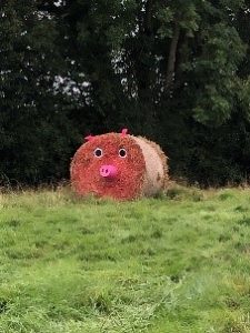 Scarecrow entry: Percy Pig