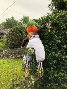 Scarecrow entry: Pumpkin Crow