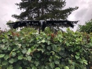 Scarecrow entry: Scare - y - Crow