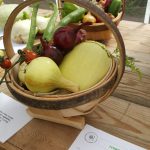 Hever Rose & Horticultural Society show entry, 2018
