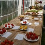Hever Rose & Horticultural Society show entry, 2018
