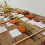 Hever Rose & Horticultural Society show entry, 2018