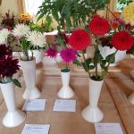 Hever Rose & Horticultural Society show entry, 2018