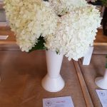 Hever Rose & Horticultural Society show entry, 2018