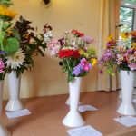 Hever Rose & Horticultural Society show entry, 2018