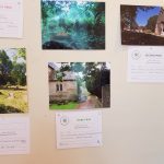 Hever Rose & Horticultural Society show entry, 2018