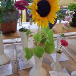 Hever Rose & Horticultural Society show entry, 2018