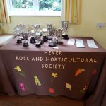 Hever Rose & Horticultural Society show entry, 2018