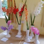 Hever Rose & Horticultural Society show entry, 2018