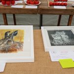 Hever Rose & Horticultural Society show entry, 2018