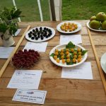 Hever Rose & Horticultural Society show entry, 2018
