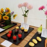 Hever Rose & Horticultural Society show entry, 2018