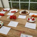 Hever Rose & Horticultural Society show entry, 2018