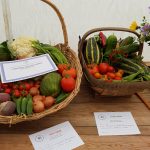 Hever Rose & Horticultural Society show entry, 2018