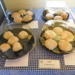 Hever Rose & Horticultural Society show entry, 2020