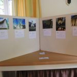 Hever Rose & Horticultural Society show entry, 2020