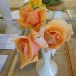 Hever Rose & Horticultural Society show entry, 2020