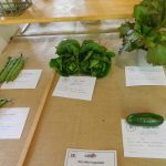 Hever Rose & Horticultural Society show entry, 2020
