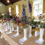 Hever Rose & Horticultural Society show entry, 2020