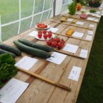 Hever Rose & Horticultural Society show entry, 2020
