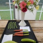 Hever Rose & Horticultural Society show entry, 2020