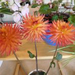 Hever Rose & Horticultural Society show entry, 2020