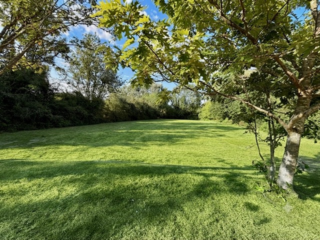 The paddock behind Hever Village Hall: a large mown lawn with trees along its edges